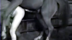 horse-sex,animal-fuck